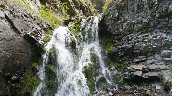 Spritzer vom Wasserfall auf Felsen, Baumstämme. — Stockfoto