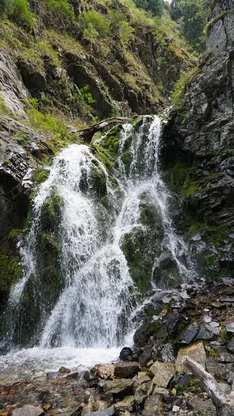 Salpicaduras de la cascada en las rocas, troncos. — Foto de Stock