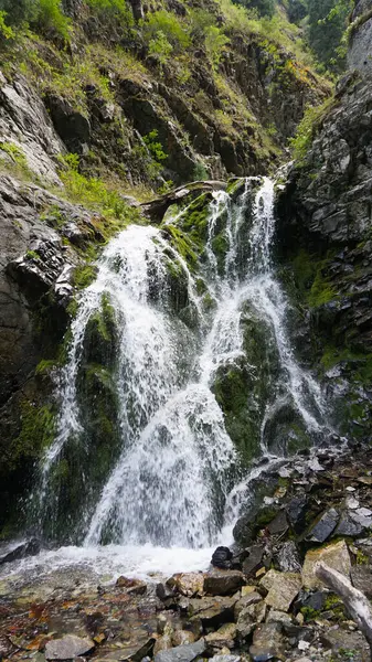 Salpicos da cachoeira caem sobre rochas, troncos. — Fotografia de Stock