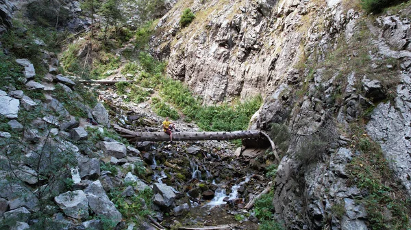 Der Kerl sitzt auf einem großen Baum über dem Fluss. — Stockfoto