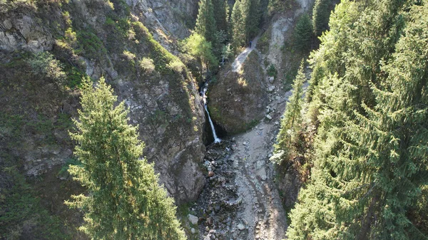 Uma cachoeira de montanha em um desfiladeiro rochoso com floresta — Fotografia de Stock