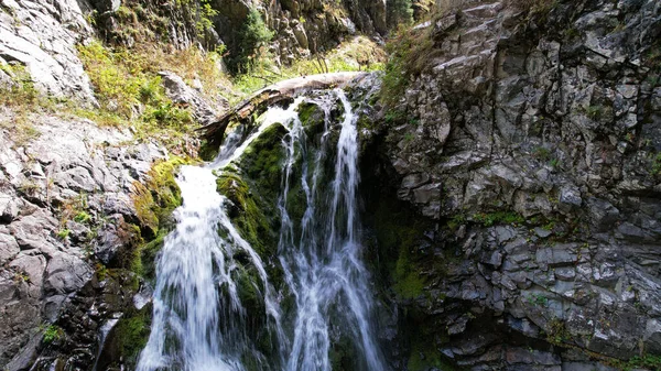 Uma cachoeira de montanha em um desfiladeiro rochoso. — Fotografia de Stock