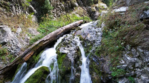 Una cascata di montagna in una gola rocciosa. — Foto Stock