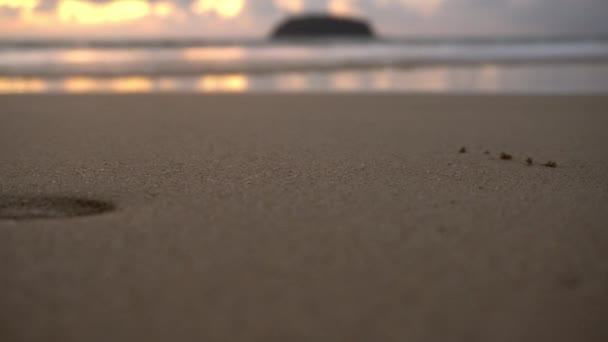 Волна покрывает песок. Макрофотография. — стоковое видео