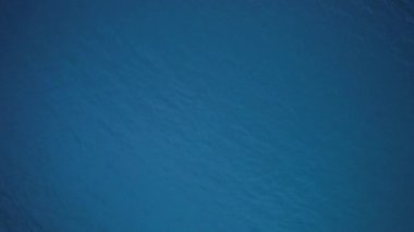 Denizanası sürüsüyle okyanus manzarası