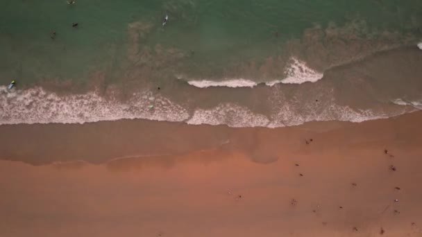 Los surfistas cogen una ola al atardecer. — Vídeos de Stock
