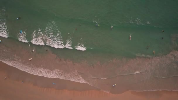 Surfers vangen een golf bij zonsondergang. — Stockvideo