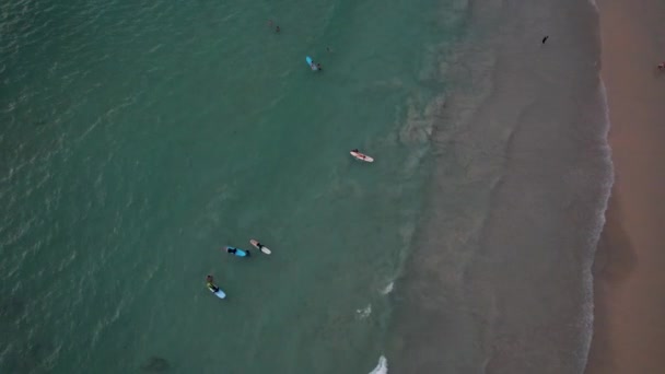 A szörfösök napnyugtakor elkapnak egy hullámot.. — Stock videók