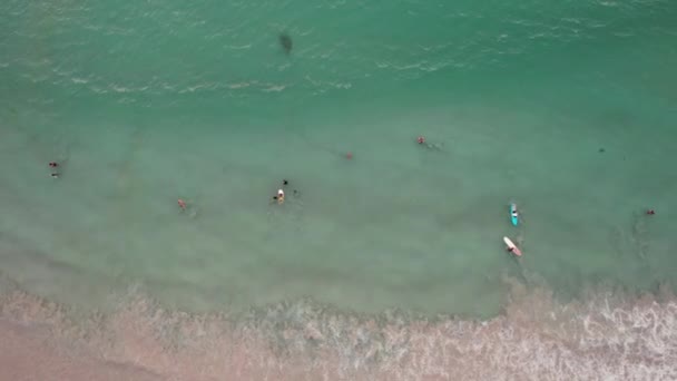 Οι σέρφερ πιάνουν κύματα το ηλιοβασίλεμα. Η θέα από drone — Αρχείο Βίντεο