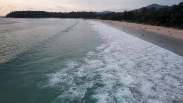 Surfers catch waves at sunset. The view from drone — ストック動画