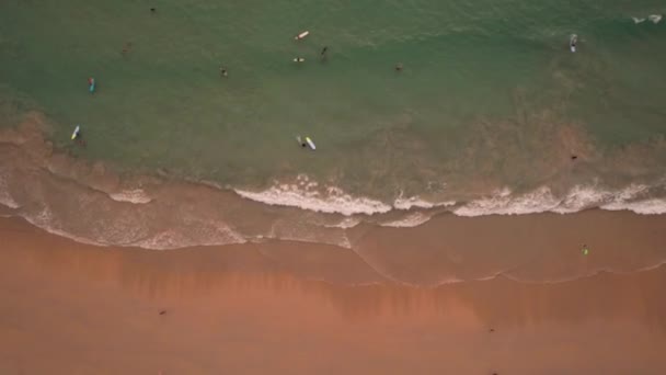 Surfers vangen een golf bij zonsondergang. — Stockvideo