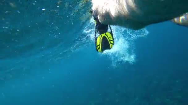 A guy in a mask and fins snorkels in the ocean. — Video
