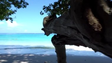 Similan adasında kar beyazı bir plaj.