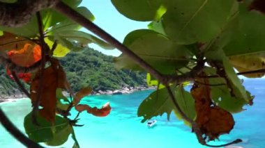 Körfezde turkuaz su var. Adanın manzarası.