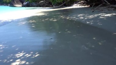 Similan adasında kar beyazı bir plaj.