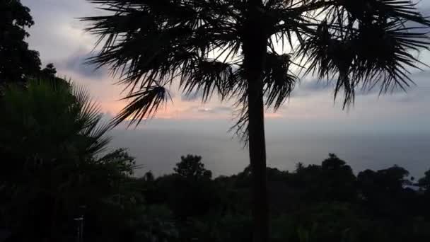 Прекрасний вид на пальми морський острів і захід сонця — стокове відео