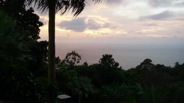 Waktu berselang dengan pohon palem, laut dan pemandangan matahari terbenam — Stok Video