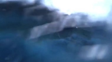 Ayaklarıyla havuzun kenarından itiyor.