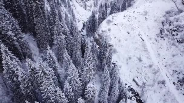 Un mirador roto se encuentra en la colina nevada en las montañas — Vídeo de stock