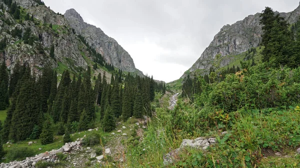 Yeşil bir vadide yüksek kayalar.
