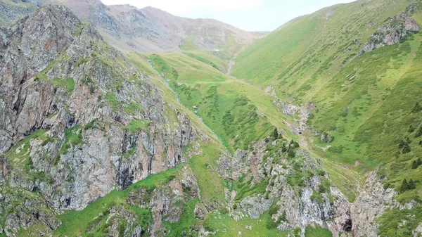 De hauts rochers dans une gorge verte. Vue depuis un drone. — Photo