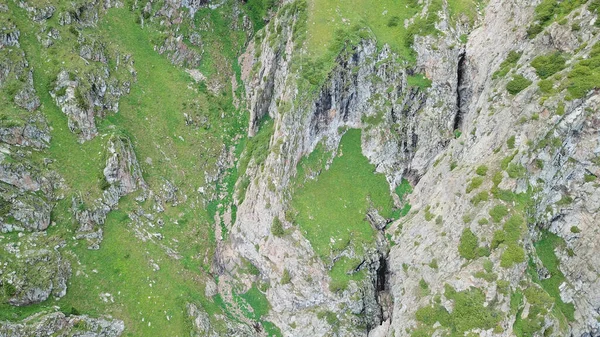 Hohe Felsen in einer grünen Schlucht. Blick von einer Drohne. — Stockfoto