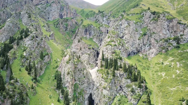 Pedras altas num desfiladeiro verde. Vista de um drone. — Fotografia de Stock