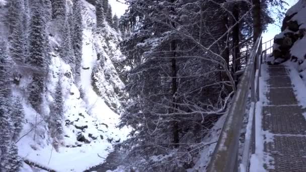 Egy tiszta hegyi folyó fut át egy havas szurdokon. — Stock videók