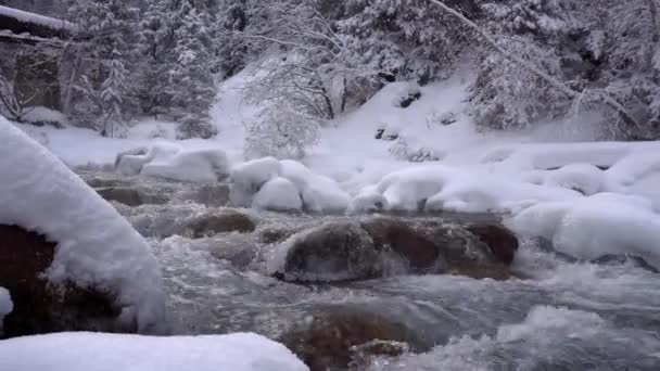 清らかな山の川が雪渓を流れる — ストック動画