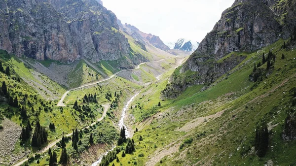 De hauts rochers dans une gorge verte. Vue depuis un drone. — Photo