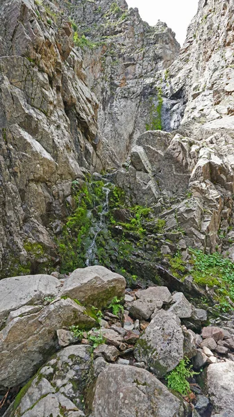 Purple flowers and moss on the rocks of waterfall. — Photo