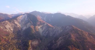 Sonbahar dağ ormanları. Bir İHA 'dan üst görünüm.