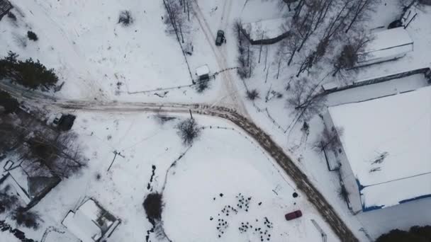 Люди відпочивають в зимовому лісі в горах — стокове відео