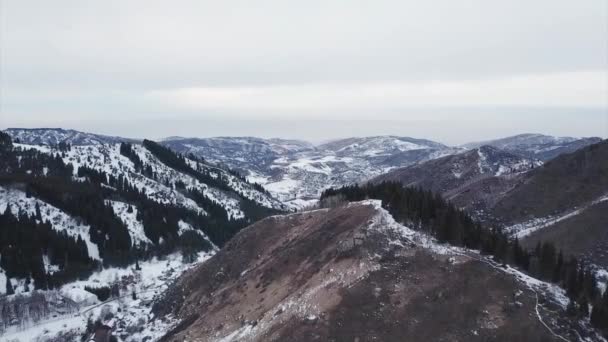 Люди відпочивають в зимовому лісі в горах — стокове відео