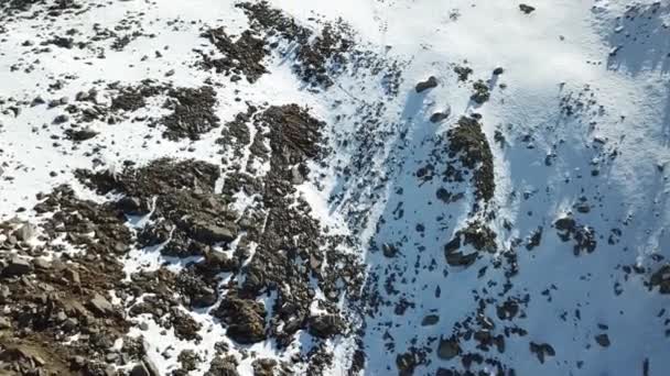 Les touristes marchent le long d'un sentier de neige dans les montagnes. — Video