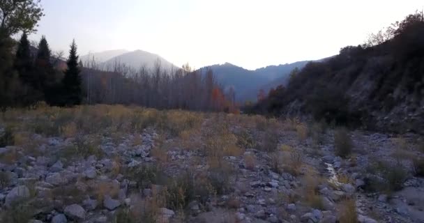 Bosque montañoso de otoño. Vista superior desde un dron. — Vídeos de Stock