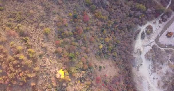 가을 산악 숲. 드론에서 바라본 위쪽 사진. — 비디오