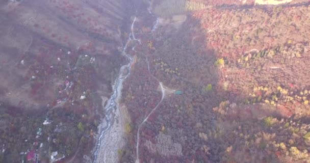 Bosque montañoso de otoño. Vista superior desde un dron. — Vídeos de Stock