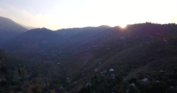 Autumn mountain forest. Top view from a drone. — Stock video