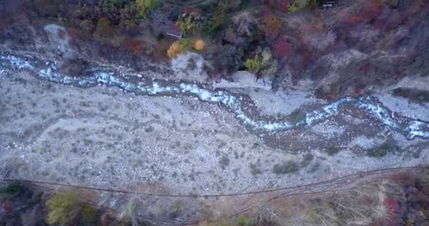 The stone castle on the banks of the river. — Vídeo de stock