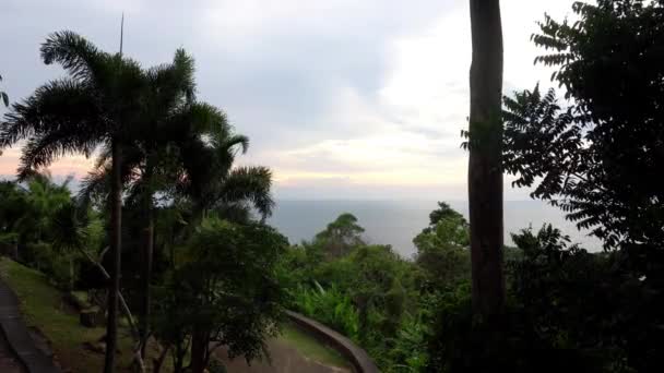 Прекрасний вид на пальми морський острів і захід сонця — стокове відео
