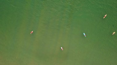 Sudaki bir grup sörfçünün üst görüntüsü. Erkekler ve kızlar el sallamayı bekliyor. Bazıları sadece yüzer. Kum popo. Suyun üzerindeki güneş ışınları. Küçük dalgalar. Renkli tahtalar. Temiz su. Phuket