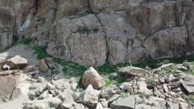 Bir adam kayaya tırmanıyor. Aktif eğlence ve spor. Ekipmanlarla dağcılık. Aşırı açık hava aktiviteleri. Tamgaly TAS 'ın yüksek kayalıkları, Kazakistan. İHA 'nın üst görüntüsü. Yeşil çimen.