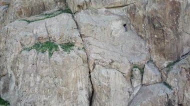 Bir adam kayaya tırmanıyor. Aktif eğlence ve spor. Ekipmanlarla dağcılık. Aşırı açık hava aktiviteleri. Tamgaly TAS 'ın yüksek kayalıkları, Kazakistan. İHA 'nın üst görüntüsü. Yeşil çimen.