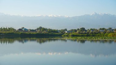 Göl suyunun ayna yüzeyi pembe nilüferler, büyük yeşil su zambakları, Trans-Ili Alatau yüksek dağları, ağaçlar ve evleri yansıtır. Ayna göleti üzerindeki güzel manzara. Almaty, Kazakistan