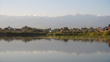 Göl suyunun ayna yüzeyi pembe nilüferler, büyük yeşil su zambakları, Trans-Ili Alatau yüksek dağları, ağaçlar ve evleri yansıtır. Ayna göleti üzerindeki güzel manzara. Almaty, Kazakistan