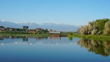 Göl suyunun ayna yüzeyi pembe nilüferler, büyük yeşil su zambakları, Trans-Ili Alatau yüksek dağları, ağaçlar ve evleri yansıtır. Ayna göleti üzerindeki güzel manzara. Almaty, Kazakistan