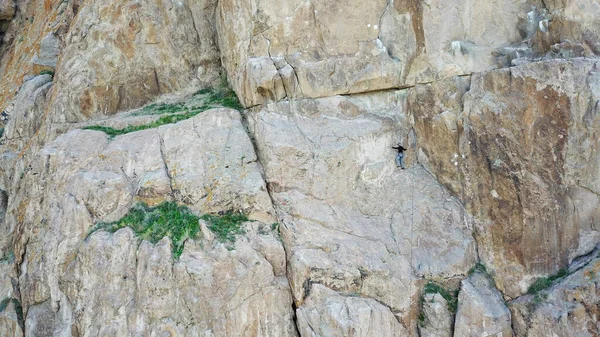 Hombre Trepa Una Roca Recreación Activa Deportes Montañismo Con Equipo — Foto de Stock