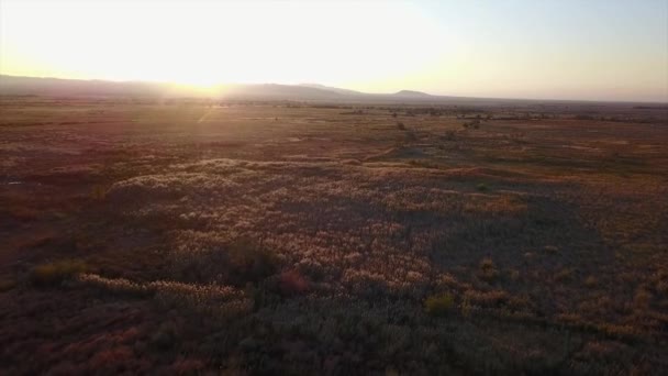 哈萨克斯坦草原上的红色黎明 晴朗的天空 晨曦的薄雾 草原上生长着小树和小草 单栋房子 从无人机俯瞰 地面灌木丛中的阴影 Altyn Emel — 图库视频影像