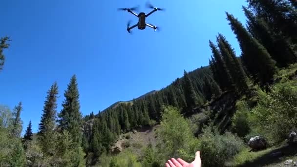 Land Quadcopter Mijn Hand Drone Landen Bosgebied Veel Groene Dennenbomen — Stockvideo